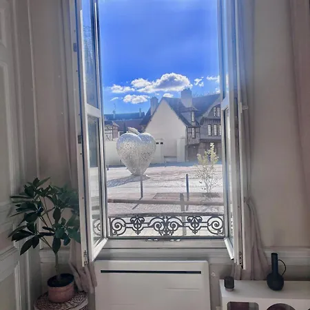 Face Au Coeur Troyen Avec Cour Privative Terrasse *